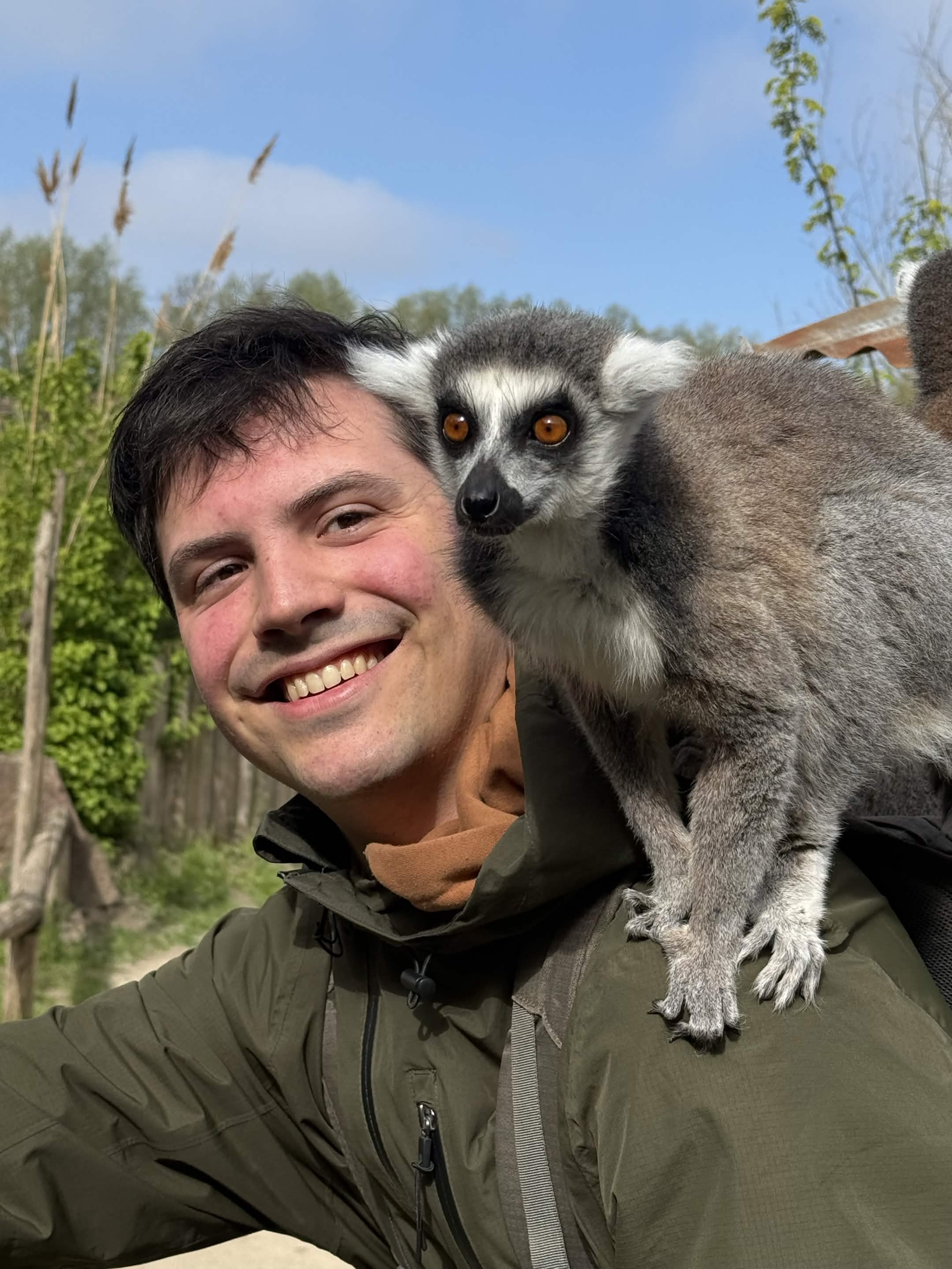 justGoron with a lemur